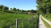 Inventarisierung der Landschaft: Naturschutzfachliche Erfassungen im Gemeindegebiet Borchen und im FFH-Gebiet „Wälder bei Büren“ 